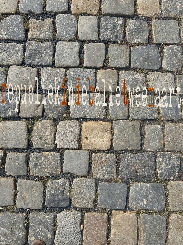 De republiek
