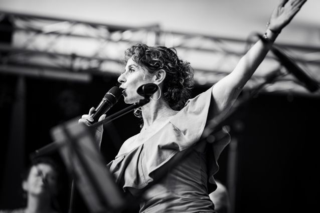Houtfestival Alkmaar 2023