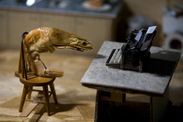 Een garnaal zit op een houten stoeltje aan een tafel met een miniatuurschrijfmachine in een keuken.