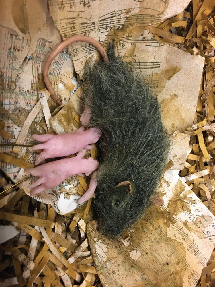 Een dode, groenig geverfde muis ligt met roze jongen op versnipperd bladmuziek.