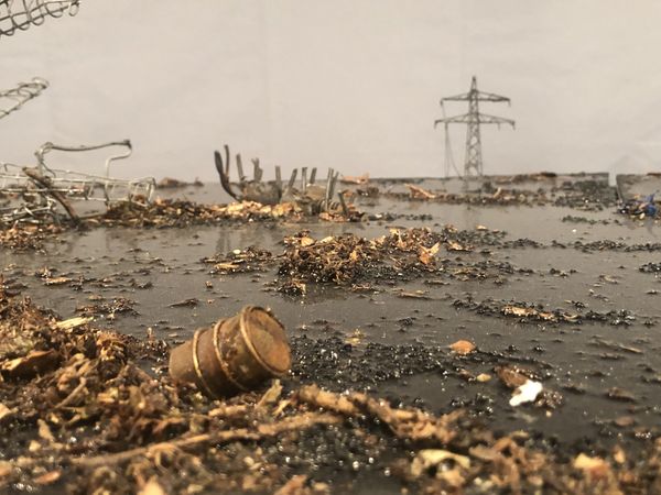 Miniatuurlandschap onder water: tussen het drijfvuil steken een hoogspanningsmast en een omgevallen ton uit het zwarte water.