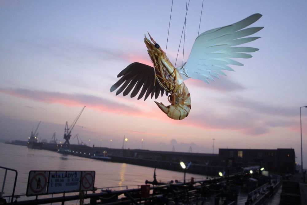 Een garnaal met vleugels hangt aan draadjes boven de haven bij zonsondergang, met kranen en kades op de achtergrond.