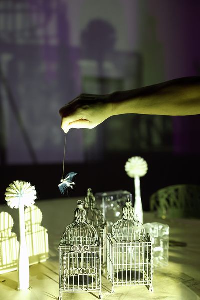 Een hand laat een blauw vogeltje aan een draadje zakken boven miniatuurvogelkooien op de lichttafel.