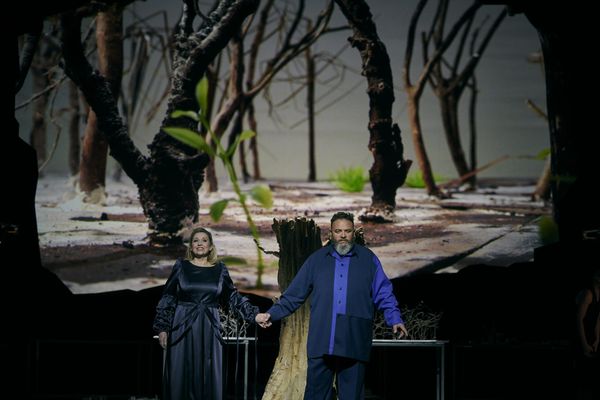 Simone Schneider en Michael König staan hand in hand voor de projectie van een landschap met dode bomen.