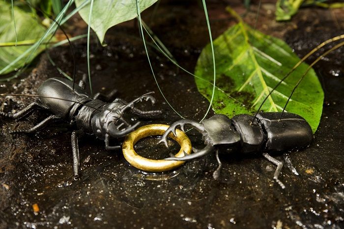 Twee zwarte vliegende herten vechten om een gouden ring op de natte bosgrond tussen de bladeren.