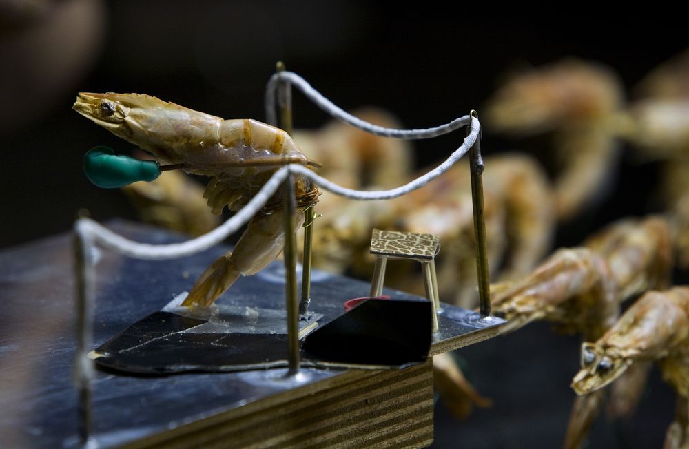 Een garnaal staat op een plankier met touwrelingen naast een gouden krukje, in een miniatuurdecor op de werktafel.
