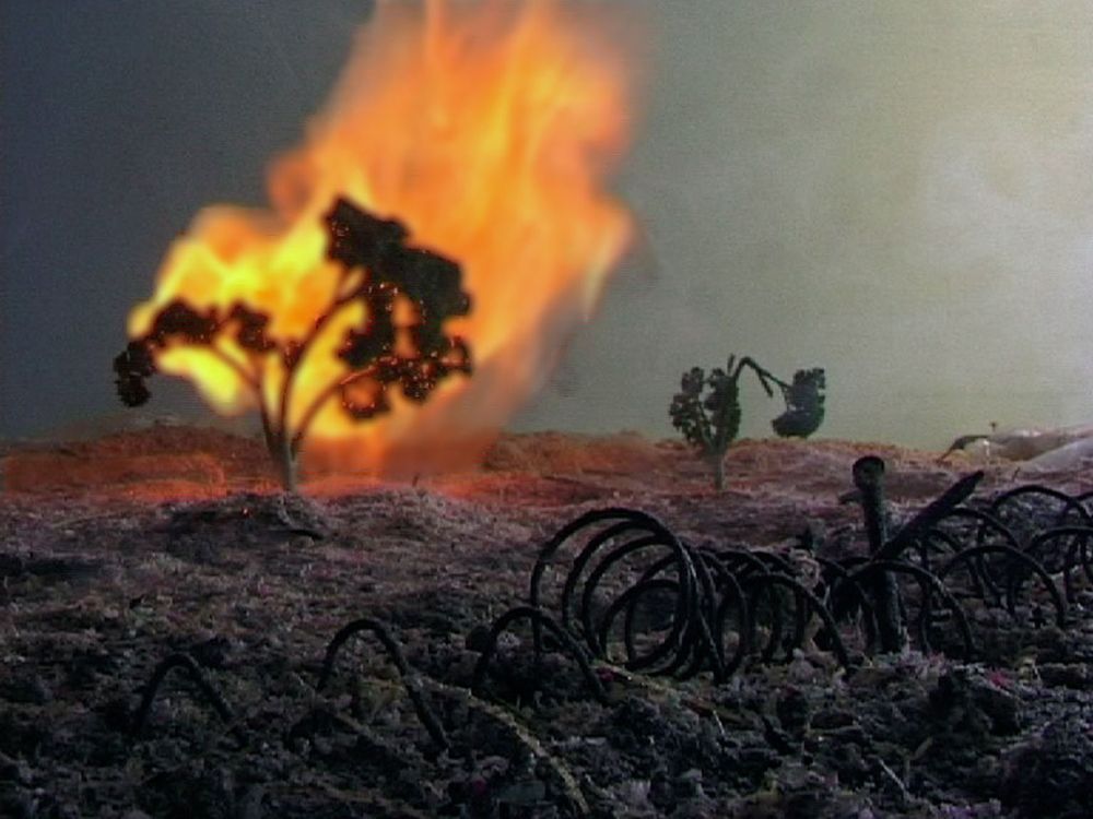 Een boompje staat in lichterlaaie in het miniatuurlandschap; op de voorgrond de zwarte spiralen van het prikkeldraad.