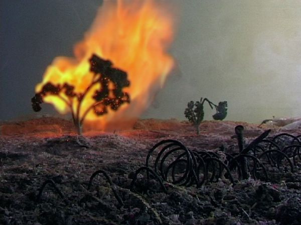 Een boompje staat in lichterlaaie in het miniatuurlandschap; op de voorgrond de zwarte spiralen van het prikkeldraad.