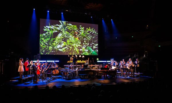 Concertzaal: een blazersensemble en slagwerkers spelen op het podium onder een groot scherm met een beeld van groene planten.