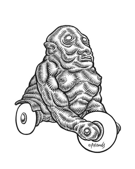 Tricycle