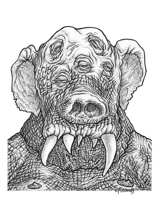 Mr Elephantman