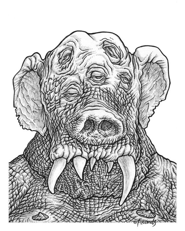 Mr Elephantman