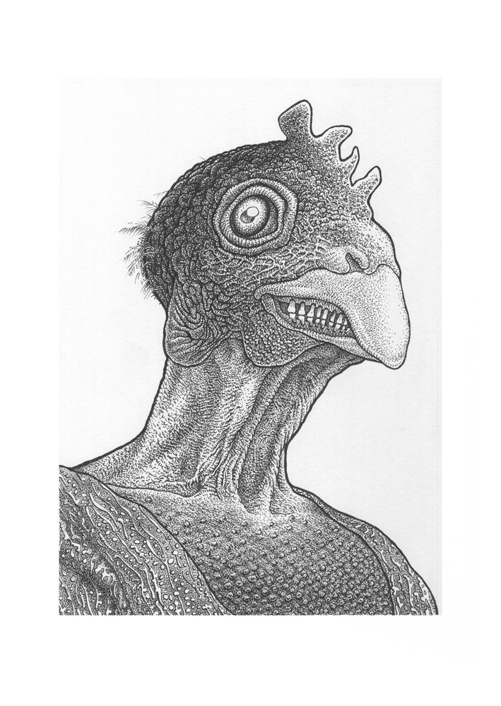 De kip (The Chicken)