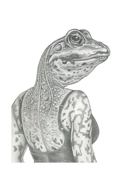 De kikker (The Frog)