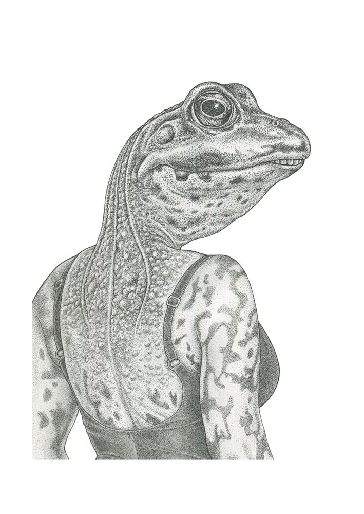 De kikker (The Frog)