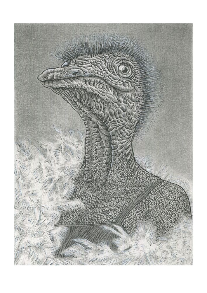 De struisvogel (Miss Boa)