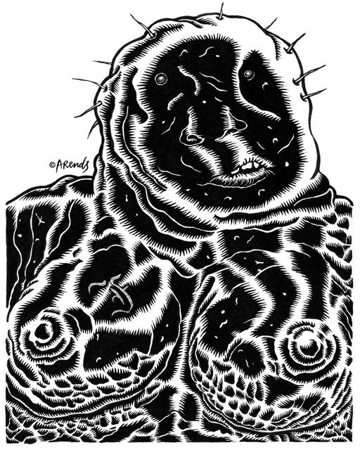 The Flesh