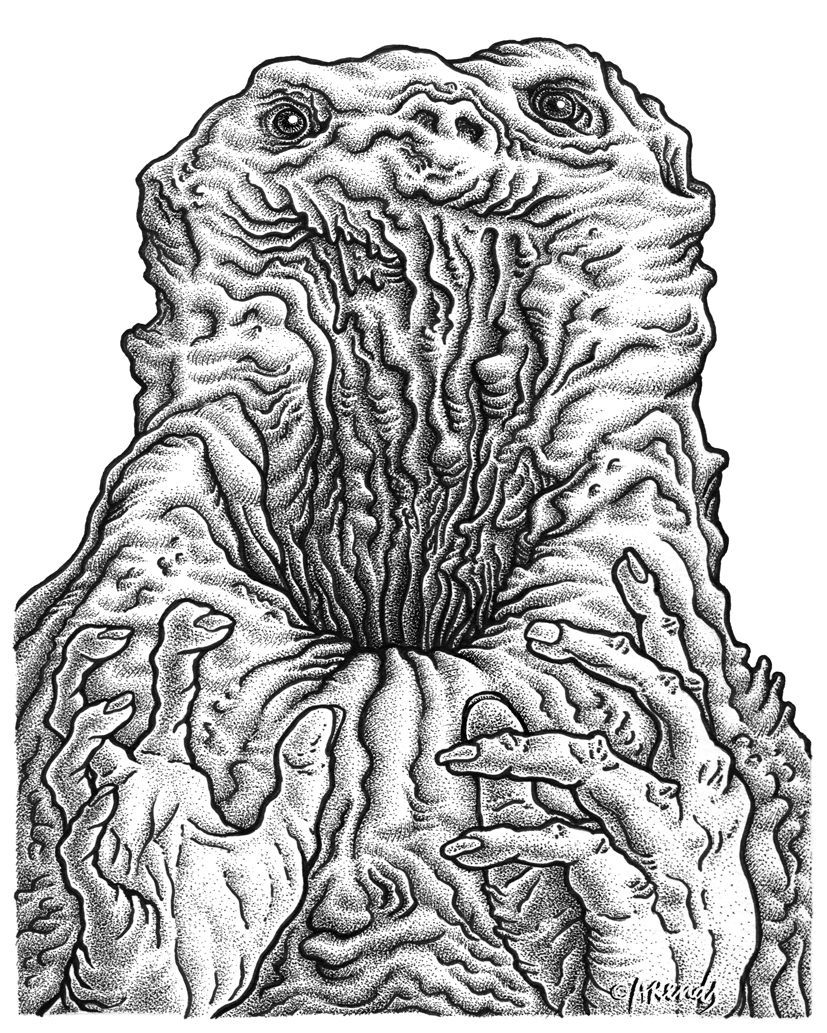 The Void