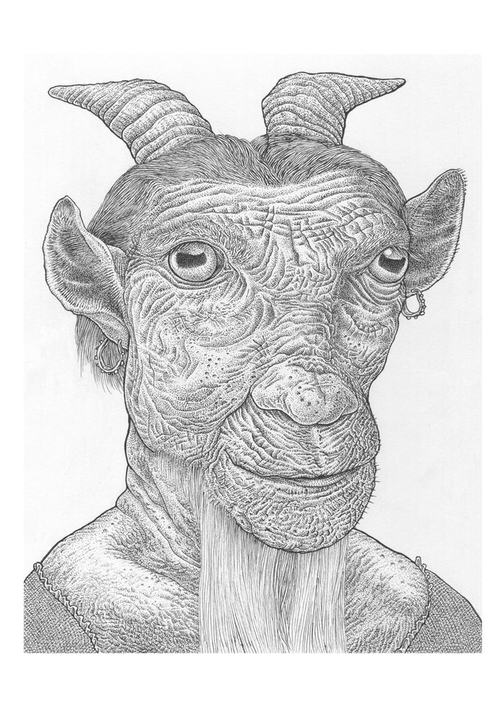De geit (The Goat)