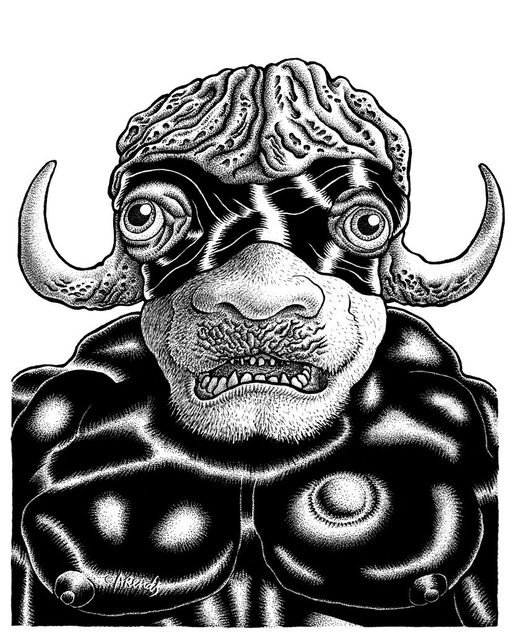 The OX