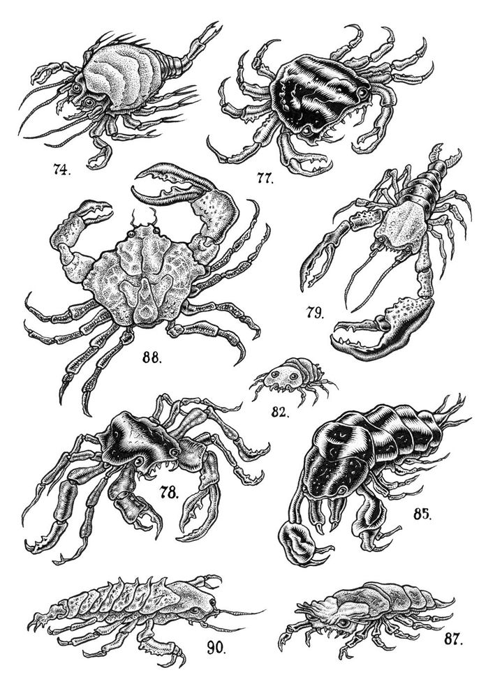 Catalogus 1b pag 02
