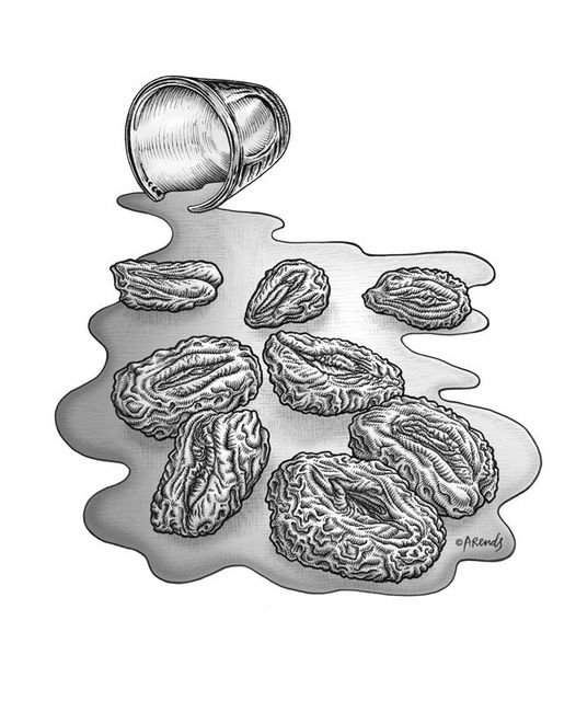 Plums in rum