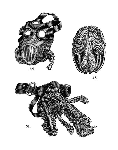 curiosities 10