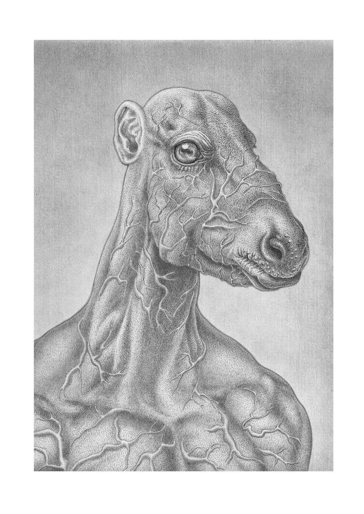 Het paard (The horse)