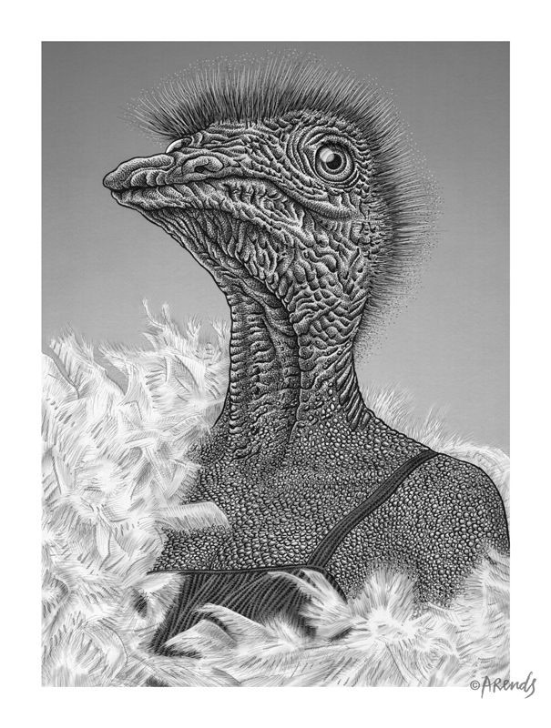 De struisvogel