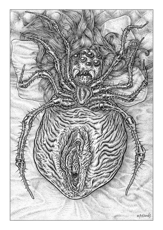 De zwarte weduwe (The black widow)