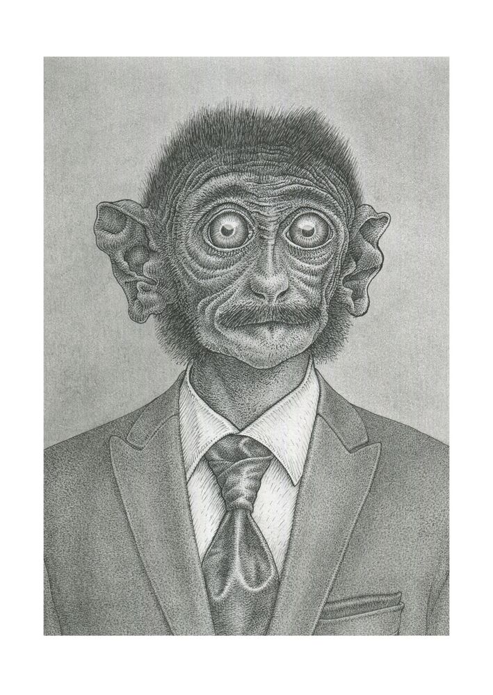 De aap (The Monkey)