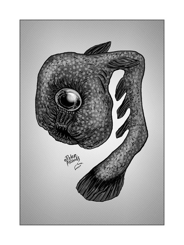 Cycloopvis