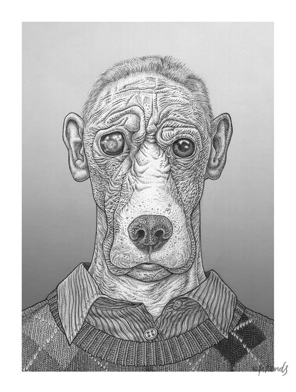 De hond