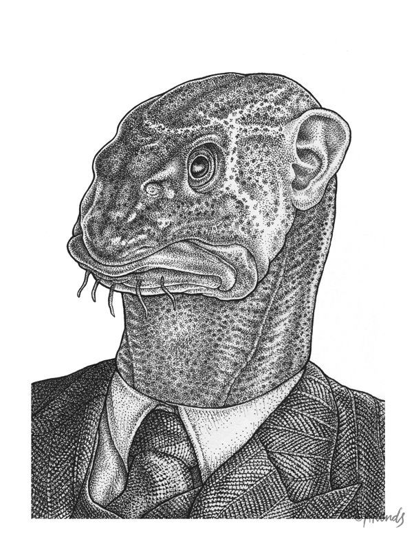 De kabeljauw