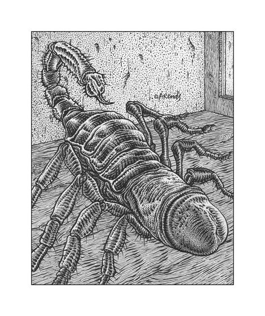 The scorpion