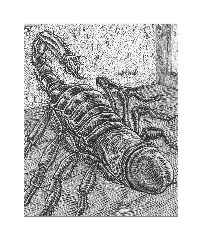 The scorpion