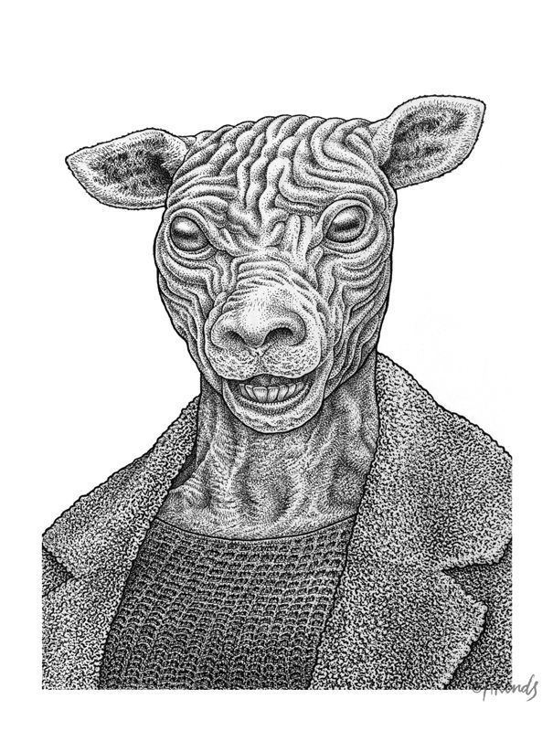 Het schaap