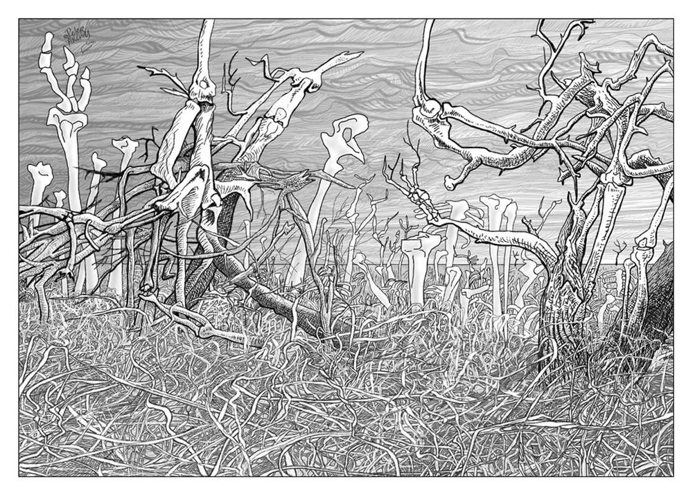 Undergrowth (Lame wood)